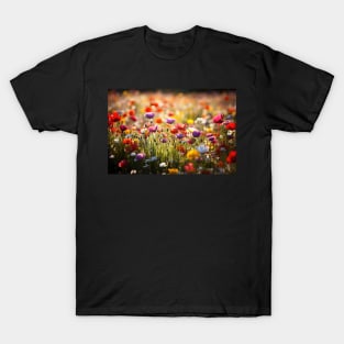 Wildflowers in spring T-Shirt